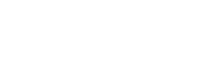 Nexetic logo